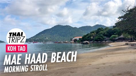 mae haad beach koh tao thailand เนื้อหาล่าสุดเกี่ยวกับmae haad beach resort koh phangan
