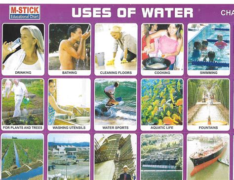 Sticker - Uses of Water - Online Stationery Trivandrum