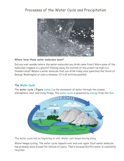 Processes Of The Water Cycle And Precipitation Jgms