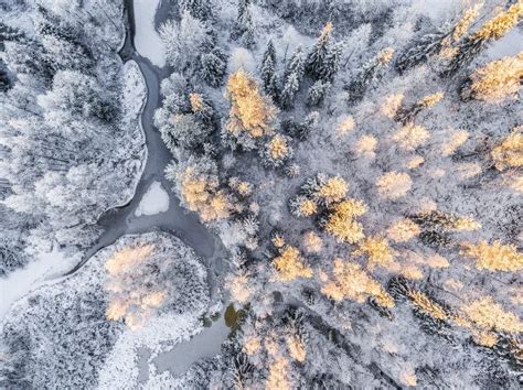 10 Reasons Why Lapland Is The Most Magical Place To Celebrate