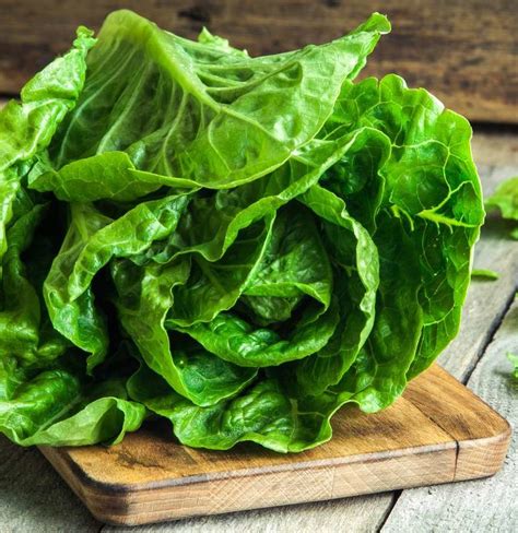 Romaine Lettuce Nutritional Information And Health Benefits
