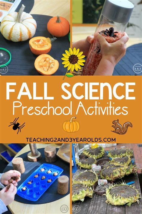 Pin on Posts from Teaching 2 and 3 Year Olds