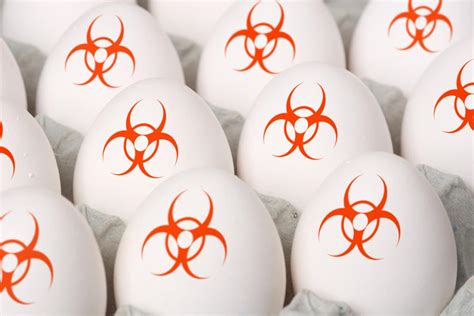 H5N1 bird flu: Causes, symptoms, and treatment - Medical ...