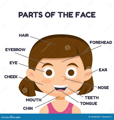 Vector Illustration Of Cartoon Cute Girl Vocabulary Of Face Parts