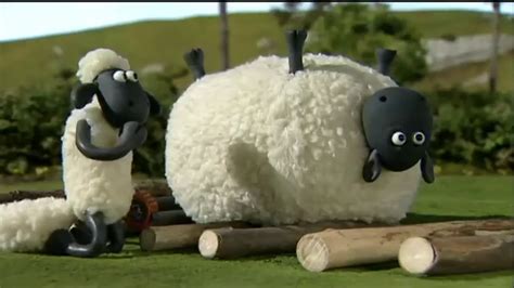 Shaun The Sheep Fat Sheep And Troubles Youtube