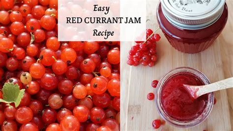 Red Currant Jelly Recipe Mary Berry