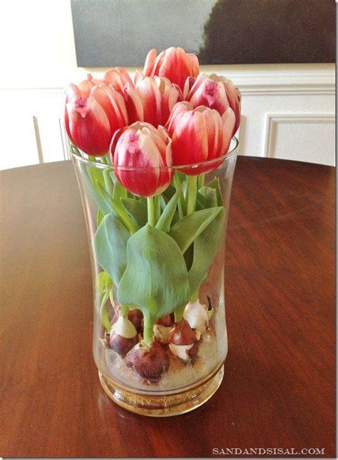 Forcing Spring Bulbs Is A Great Way To Bring Beautiful And Cheerful