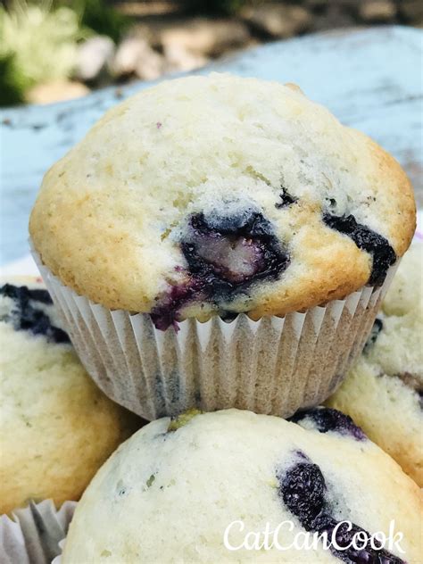 Easy Blueberry Muffins Recipe Cat Can Cook Easy Recipes