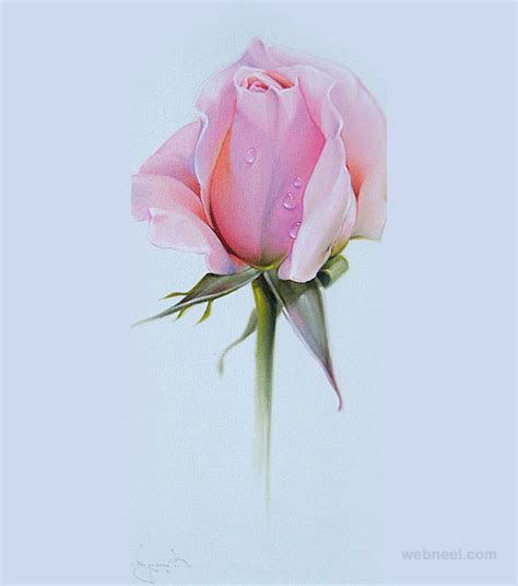 Rose Color Pencil Drawing 7