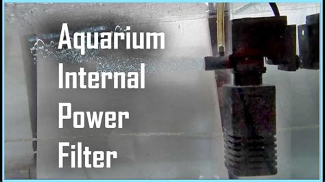 How Does A Fish Tank Filter Pump Work Aquariumia