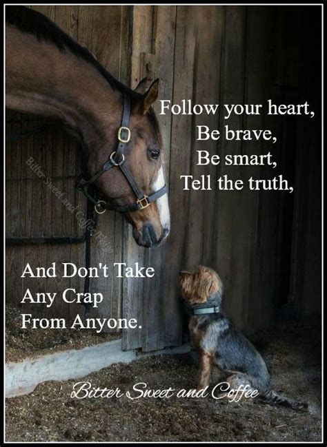 Pin by Carootje on teksten | Horses and dogs, Animals friends, Cute