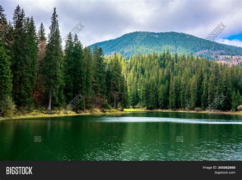 Lake Among Coniferous Image And Photo Free Trial Bigstock