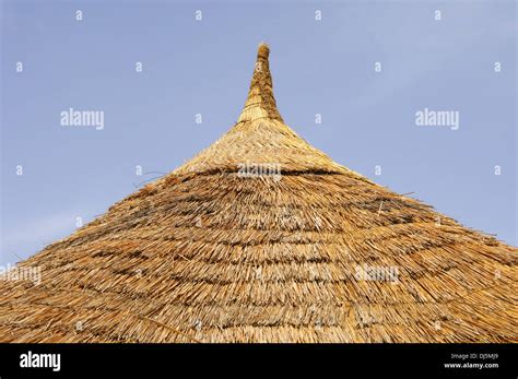 Thatched Roof Huts Hi Res Stock Photography And Images Alamy