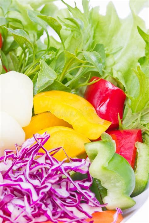 Mix Fresh Vegetables Stock Photo Image Of Queen Salad 33636258