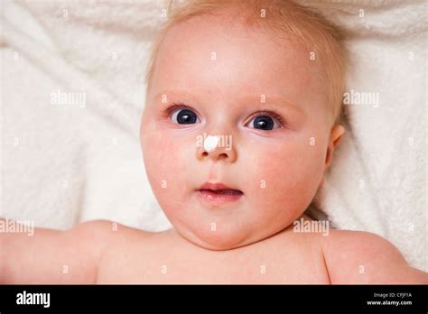Mother Creaming Child Hi Res Stock Photography And Images Alamy
