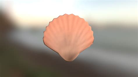 Low Poly Clam Shell Download Free 3d Model By Gabrielmendesm 708f83d Sketchfab