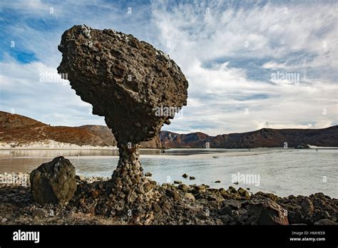 The Mushroom Of Balandra Rock Formation Balandra Beach La Paz Baja
