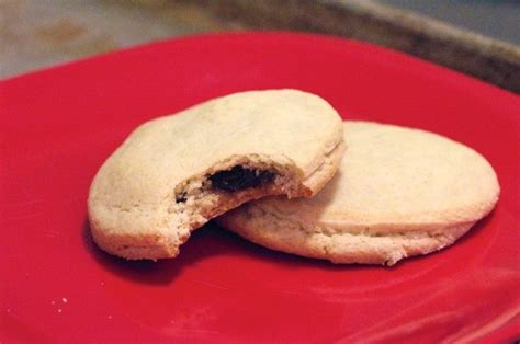 From the old farmer's almanac recipes. Raisin Filled Cookies | Recipe | Raisin filled cookies ...