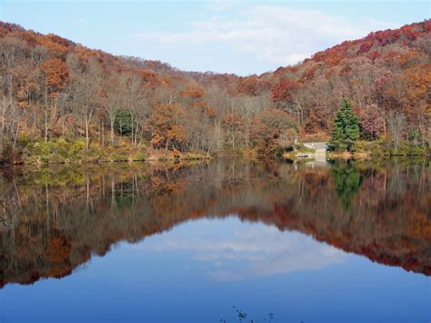 Maybe you would like to learn more about one of these? Desert Packrat: Raccoon Creek State Park