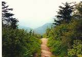 Hiking Trails In The Smoky Mountains Pictures