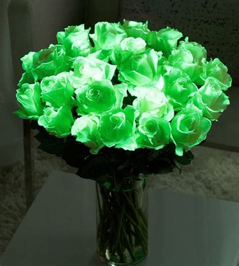 Glow in the dark flowers without blacklight. Pin on Glow in the dark party