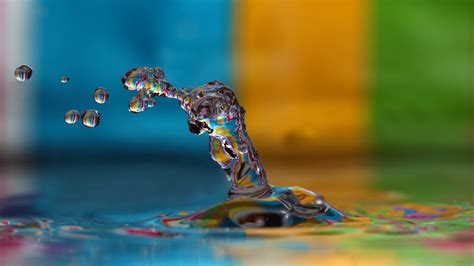 Wallpaper Water Reflection Blue Spray Color Flower Drop