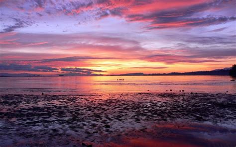 Horizon Beach Sea Sunset Sun Red Clouds Beautiful Wallpaper Hd