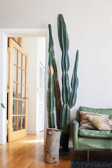 Building where people (usually one family) live. giant cactus | Living room design boho, Boho living room ...