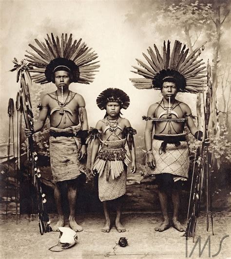Biblioteca Nacional Digital Brasil Arte Tribal Indios Brasileiros