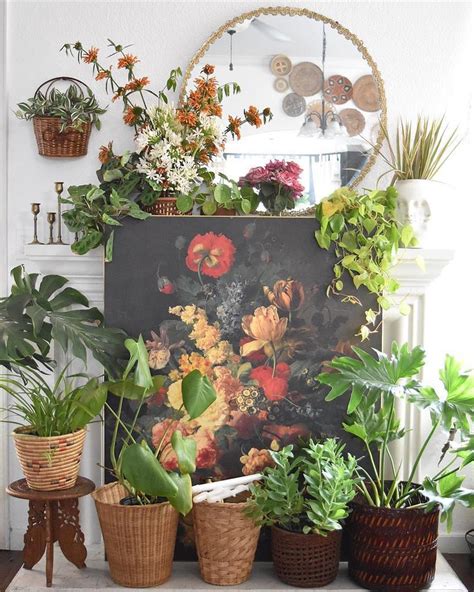 House Plant Club On Instagram Fill Your Space With Things You Love 📷