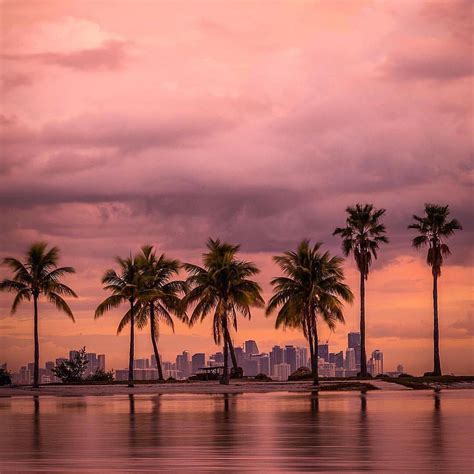 Celebrate The Weekend With A Gorgeous Miami Sunset By Oasisjae Via Lifestylemiami Miamilife