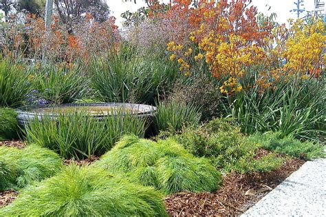 Image Result For Australian Native Garden Front Yard Australian