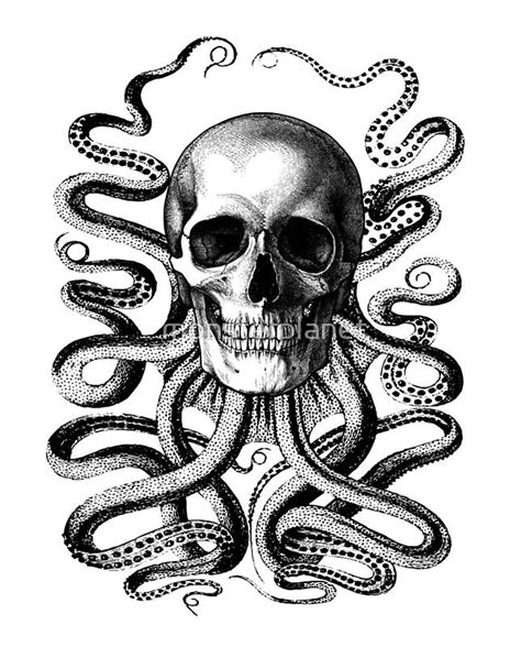 Octopus Skull Photographic Print By Monsterplanet Skull Drawing