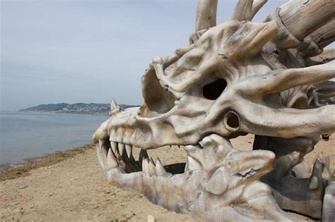 Pix Guru Giant Dragon Skull On Beach In Dorsets Jurassic Coast In England