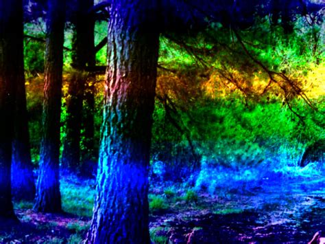 Rainbow Forest By Wendy Bartley On Deviantart
