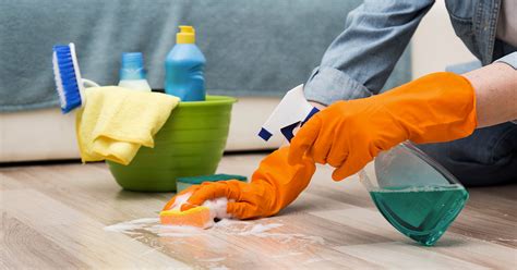 How Should I Clean My House Abc Medical Center