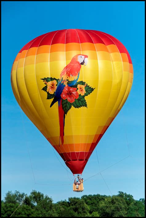 Hudson Valley Hot Air Balloon Festival Balloons In Flight