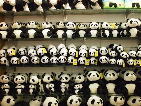 Panda T Shop Picture Of Taipei Zoo Taipei Tripadvisor