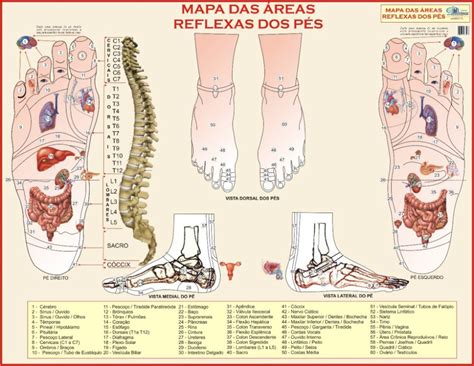 Reflexologia pés Reflexologia Massoterapia