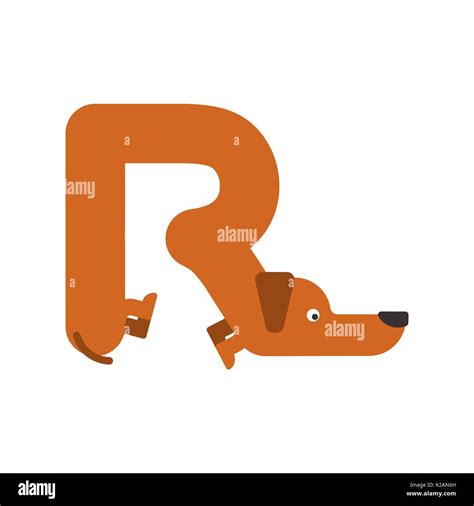 La Letra R Es El Perro Mascota Fuente Teckel Alfabeto Rotulación Del