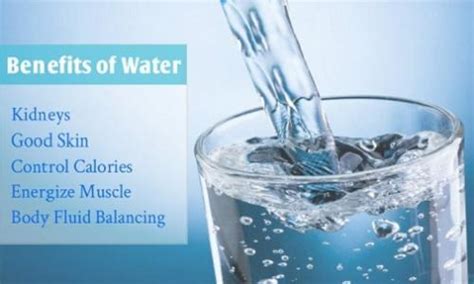 The Importance of Water to Your Health and Body ...