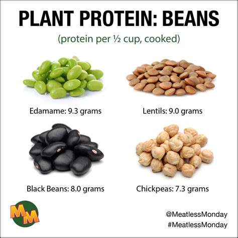 Pile On The Protein With These 10 Plant Based Foods Meatless Monday