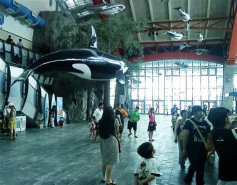 Museum Seaworld Ancol Sisi Lain Wisata Dufan Tempat Wisata Terbaik