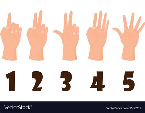 Hand Count Flat Finger And Number Isolated Vector Image
