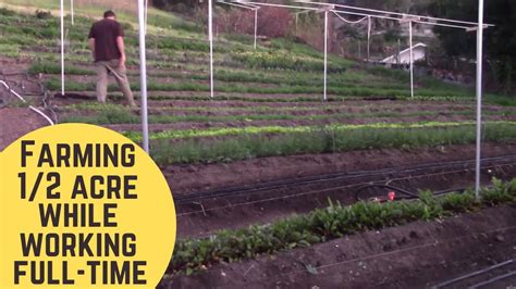 Urban Farmers Grow 12 Acre Farm In La While Working Full Time Youtube