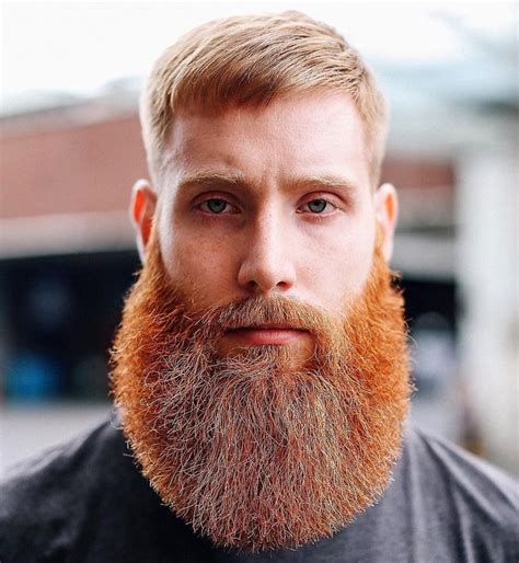 Beardrevered On Tumblr Bearditorium 180422 Red Hair Men Beard No