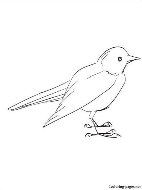 Blackbird coloring page for free | Black bird, Coloring pages, Free