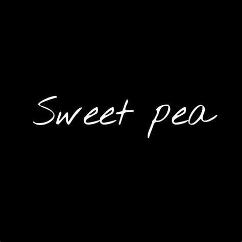 시흥중학교 밴드부 Sweet Pea