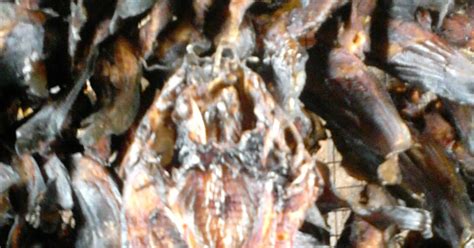 Maybe you would like to learn more about one of these? Peluang Bisnis Ikan Asap di Indonesia - Ikan Lele - Salai ...