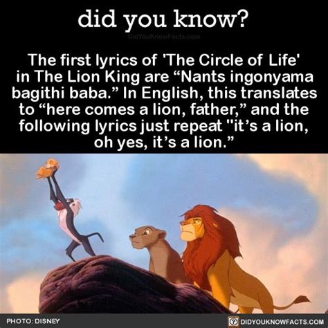 Lion King Lyrics Circle Of Life Gaswbeach
